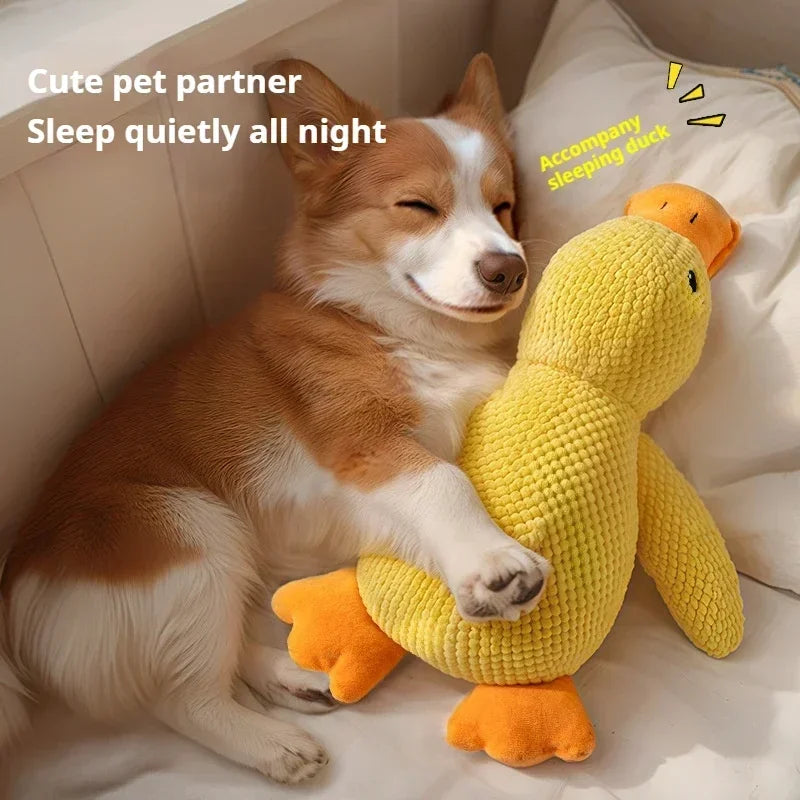 QuackBuddy™ Calming Toy